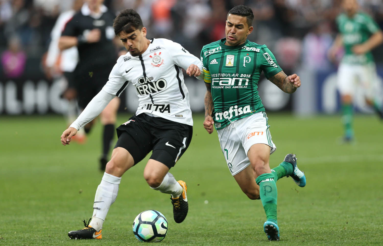 PAULISTÃO: Palmeiras e Corinthians reeditam final de 2018; Santos único 100%