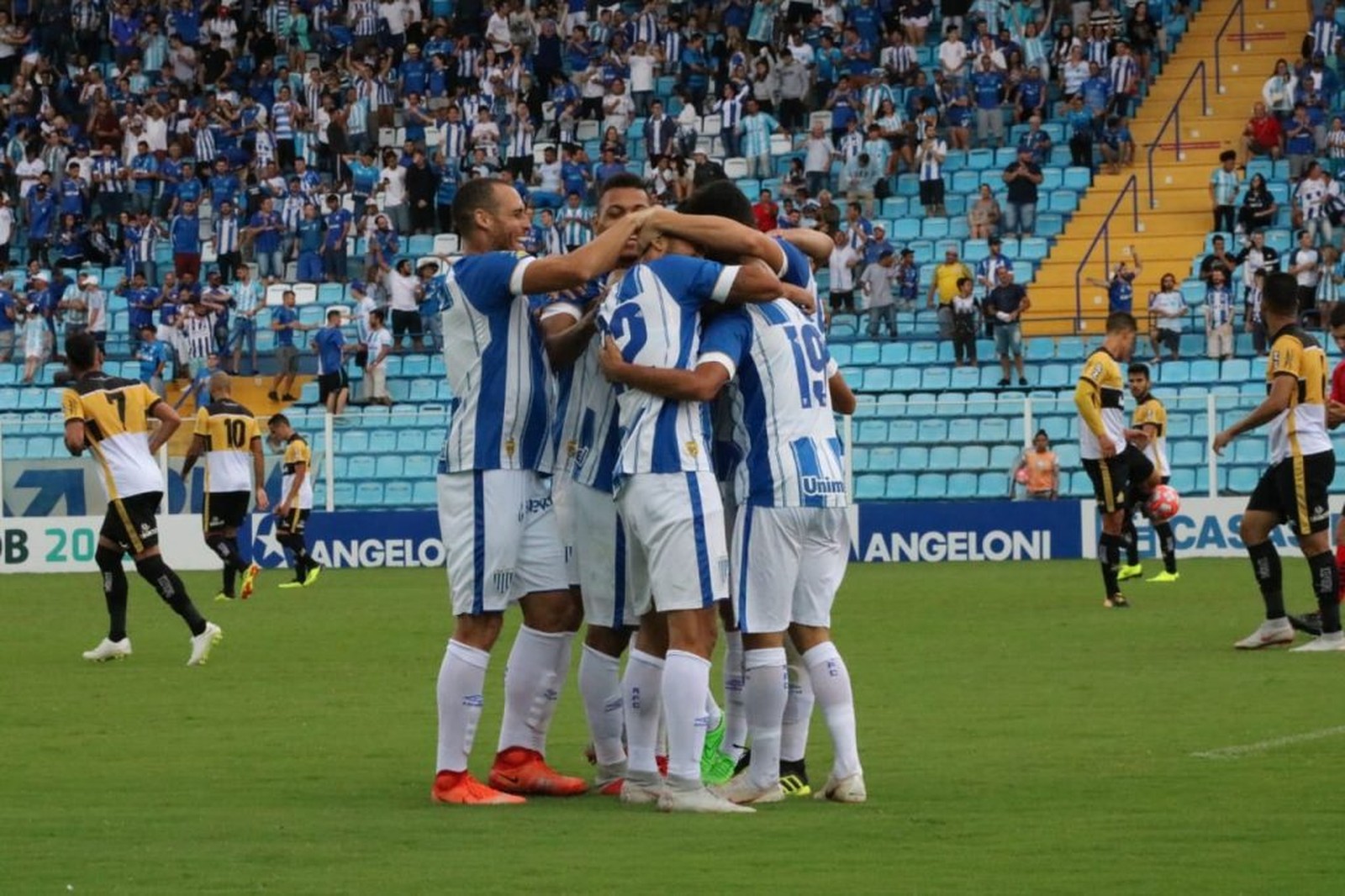 Catarinense: Avaí comemora goleada no clássico, mas Geninho não aparece em coletiva