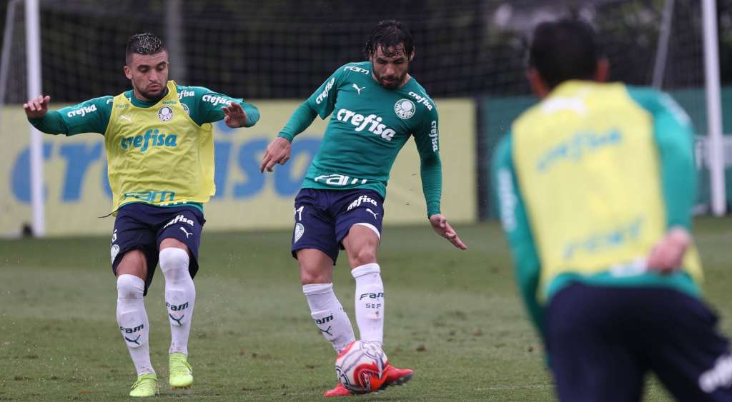 Ricardo Goulart vem evoluindo bem no Palmeiras - Cesar Greco/Ag. Palmeiras