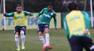 Departamento médico do Palmeiras vê evolução em Ricardo Goulart, mas evita pressa