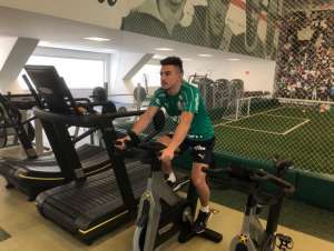 Paulistão: Palmeiras revela surpresa com recuperação de atacante