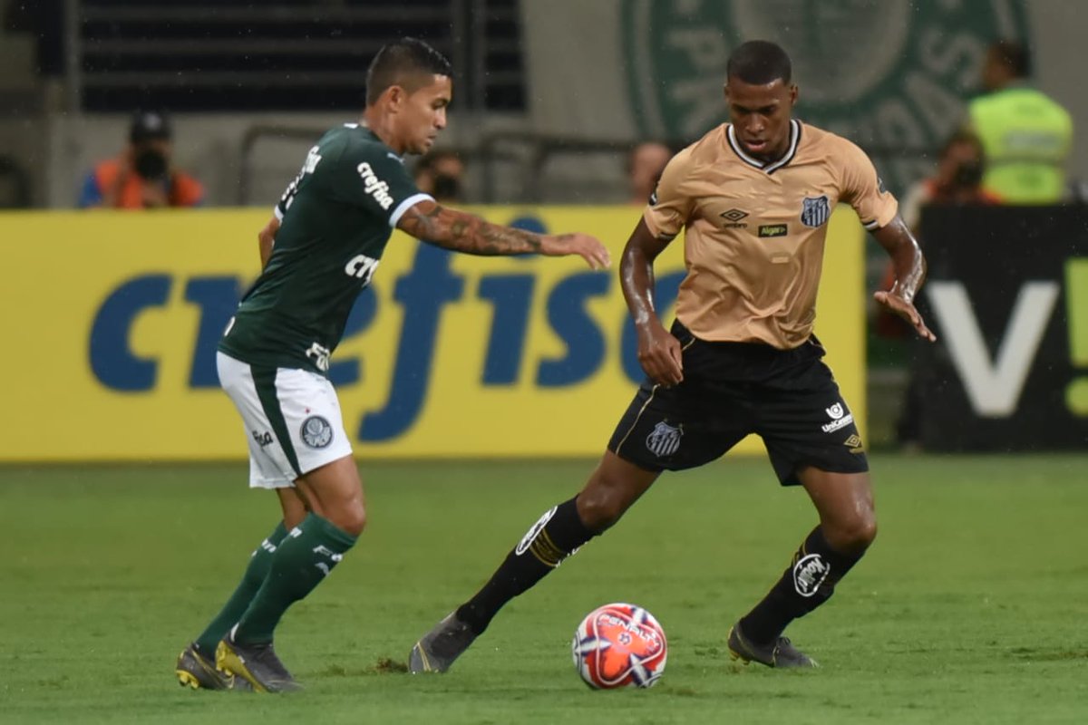 Artilheiros no passado, Borja e Deyverson buscam nova fase no Palmeiras