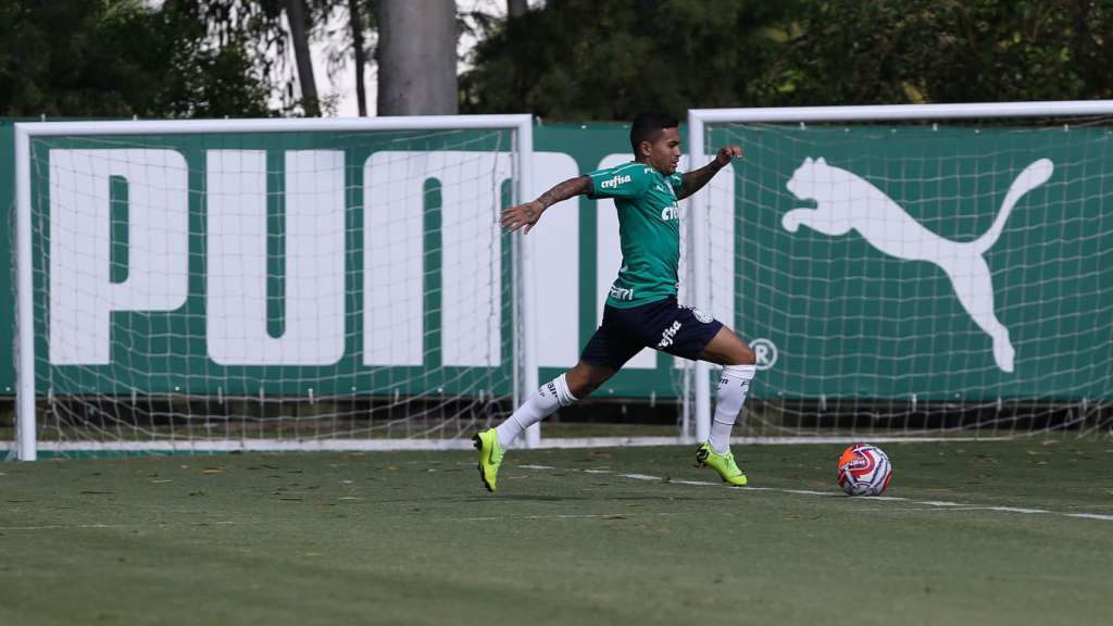 Dudu é intocável no Palmeiras