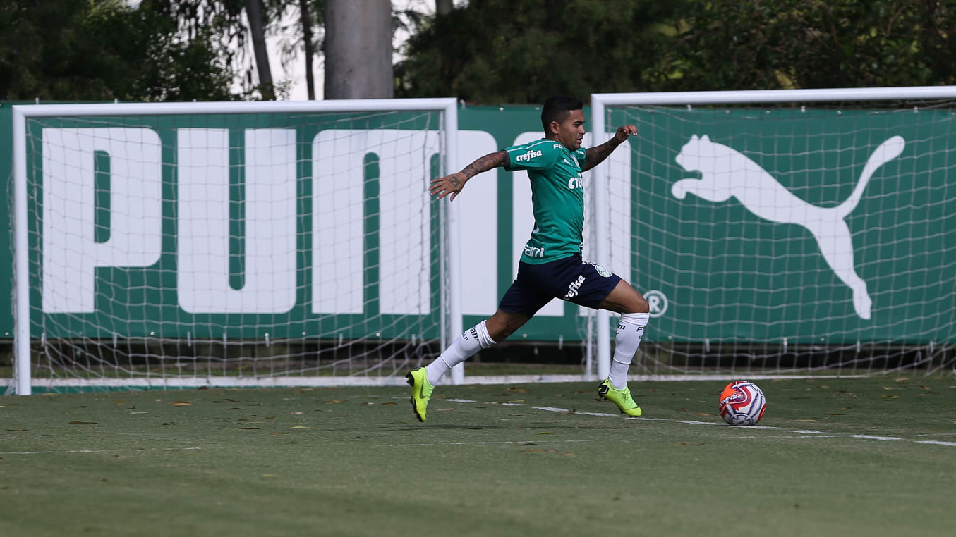 Paulistão: Rodízio no Palmeiras testa 30 jogadores e utiliza atacante em 74% do tempo