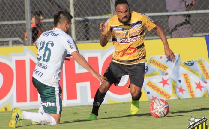 Novorizontino teve a chance de abrir dois gols de vantagem, mas cedeu empate ao Palmeiras