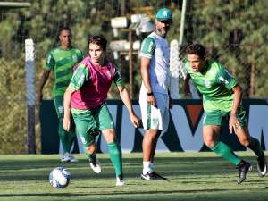 América-MG x Botafogo-SP - Qual será o presente de aniversário para o Coelho?