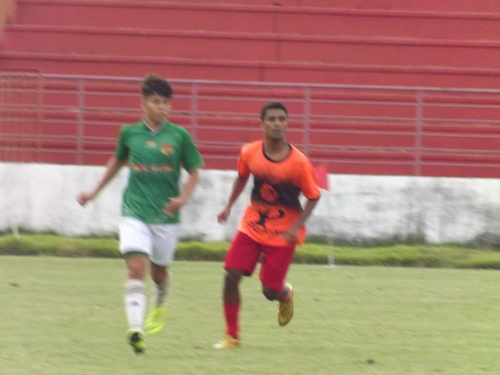                                         Foto: José Paulo Necchi Oliveira 