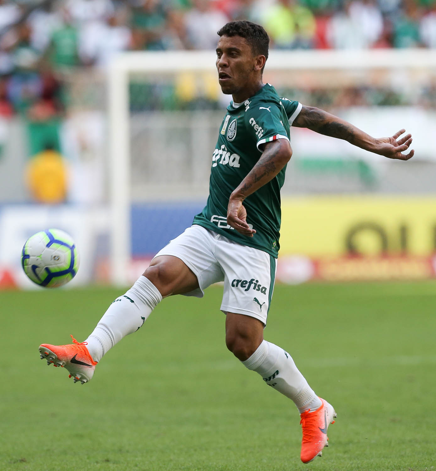 BRASILEIRÃO: Com Galo e Santos na cola, Palmeiras se mantém no topo