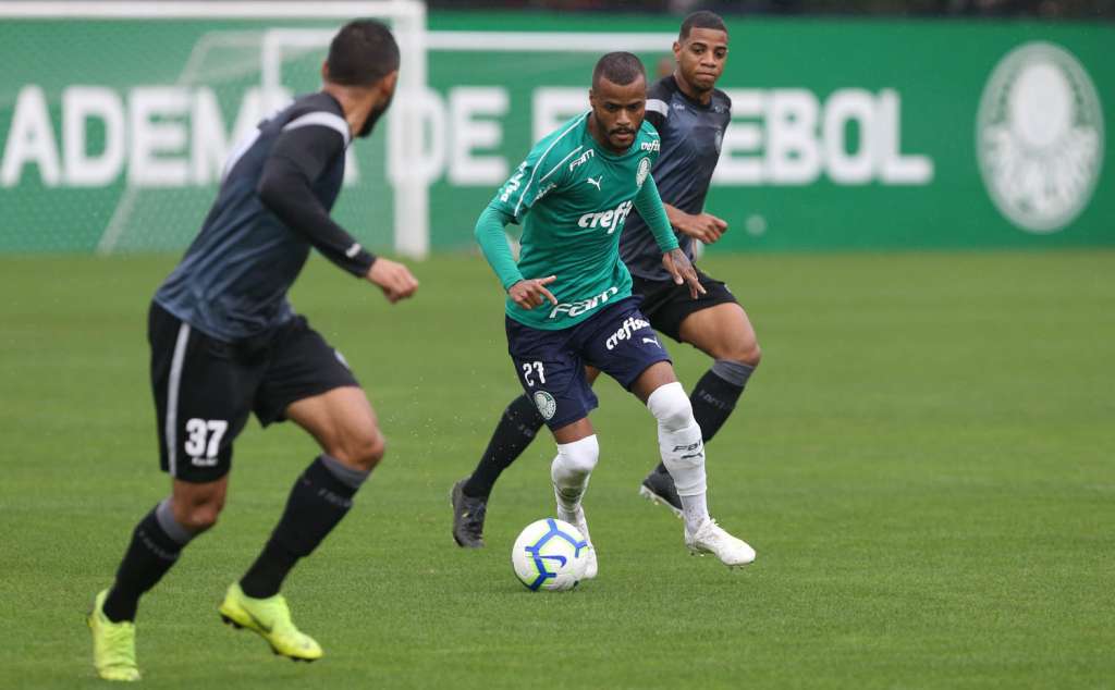 Foto: Cesar Greco / Ag Palmeiras