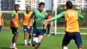 Atlético-MG x Fluminense - Galo cola nos líderes ou Flu se afasta do Z4?