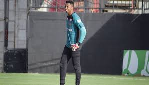 Carlos Eduardo tem feito bons jogos pelo Brasil