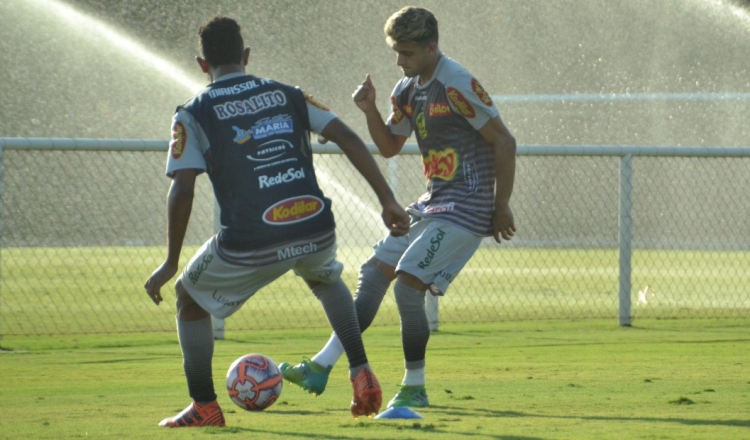 Copa Paulista: Mirassol se prepara para maratona de jogos na segunda fase