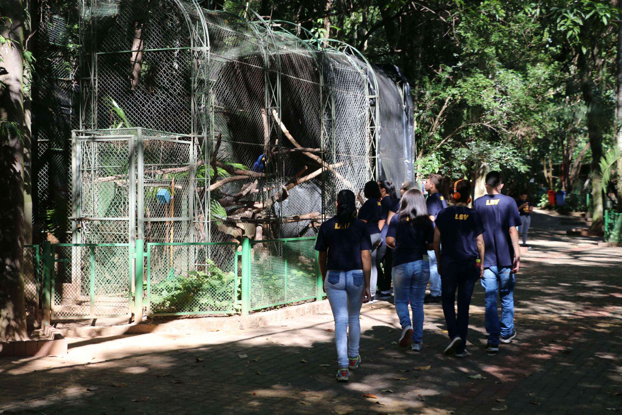O lazer como fator preventivo de doenças