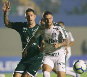 Por precaução, meio campista do Palmeiras desfalcará equipe contra o Fluminense