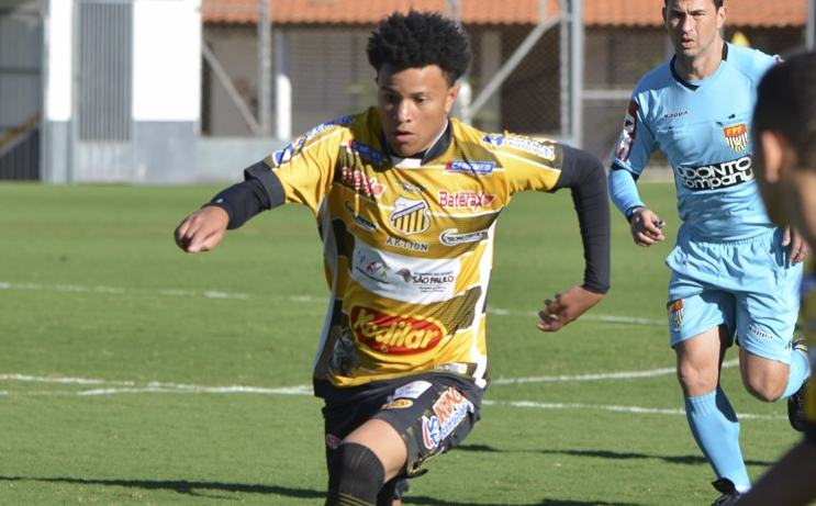 Paulista Base: Novorizontino entra em campo a partir desta sexta