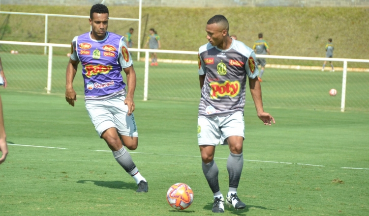 Copa Paulista: Técnico do Mirassol projeta jogo complicado; atacante celebra os 100%