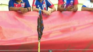 Cusparada, abelhas e mais: Fortaleza pode pagar mais de R$ 100 mil por casos curiosos