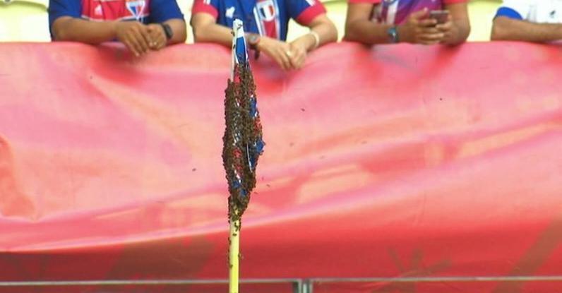 Cusparada em juiz, abelhas e mais: Fortaleza é absolvido pelo STJD