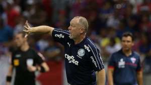 Após vitória, Mano diz que Palmeiras não jogou bem e critica gramado do Castelão