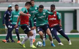 Palmeiras x CSA: Verdão projeta vitória para continuar na cola do Flamengo