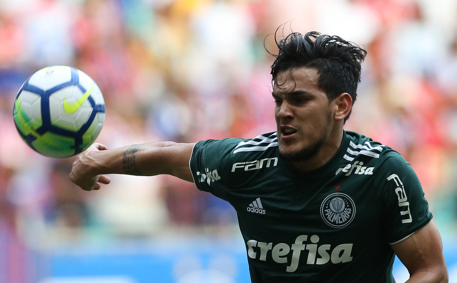 Prestes a completar 50 jogos pelo Palmeiras, Gómez diz se sentir em casa no clube