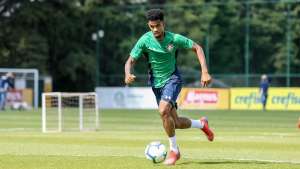 Série B: Sem espaço no Fluminense, ex-São Paulo entra na mira da Ponte