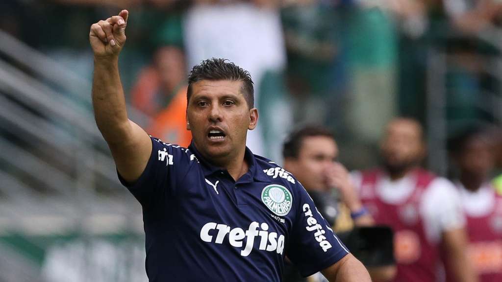 Foto: Cesar Greco / Ag Palmeiras