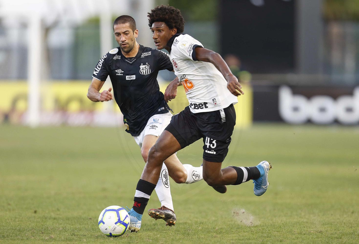 Avaí x Vasco – Cruzmaltino quer nova vitória fora de casa