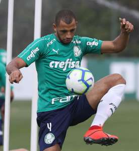 Pressionado, Palmeiras tenta retomar o rumo em jogo contra o Botafogo