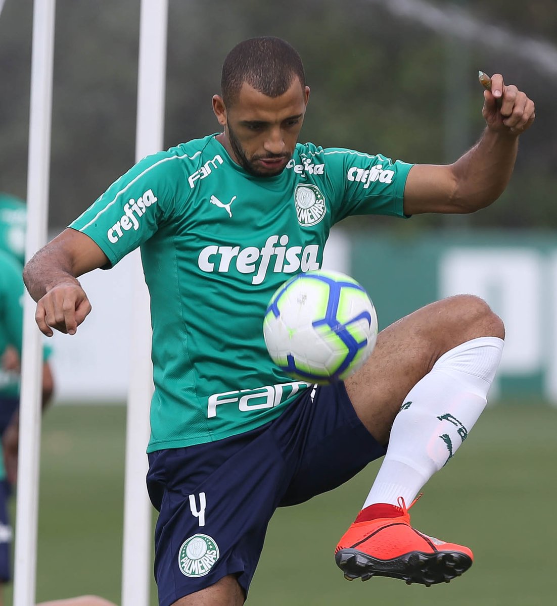 Pressionado, Palmeiras tenta retomar o rumo em jogo contra o Botafogo