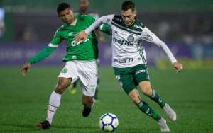 Palmeiras x Chapecoense - Verdão tem que afundar rival para seguir na caça ao Fla