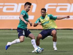 Athletico-PR x Palmeiras - Verdão tem que provar que ainda pode ser campeão