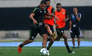 Com volta de meia, Botafogo recebe Avaí para deixar zona de rebaixamento