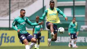 Palmeiras visita o Bahia e tenta colocar pressão no líder Flamengo