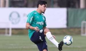 Com lesão na coxa, Gustavo Gómez só deve voltar a atuar pelo Palmeiras em 2020