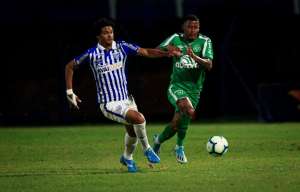 Feito inédito faz elenco da Chapecoense manter vivo sonho da permanência