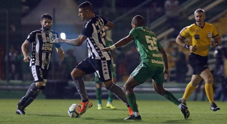 Vitória importante do Fogão. (Foto: Botafogo / Divulgação)