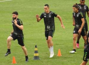 Botafogo x Internacional – Com objetivos diferentes, equipes se enfrentam no Engenhão