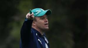 Palmeiras anuncia ex-auxiliar de Dunga como treinador interino da equipe