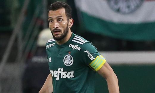 Dracena acumulou 17 títulos na carreira. (Foto: Divulgação / Palmeiras)