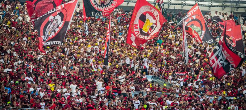 Flamengo x Avaí – Despedida da torcida com goleada no Brasileirão?