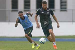 Duelo com o ameaçado Ceará vale vaga na Copa Sul-Americana para o Botafogo