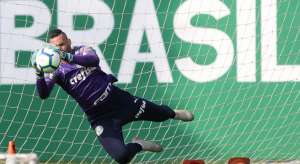 Goleiro completa dois anos de Palmeiras e promete trabalhar forte em 2020