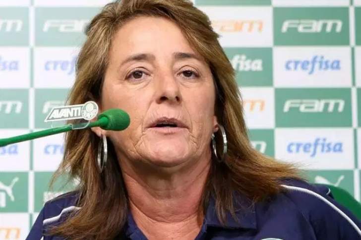​Técnica que levou Palmeiras à elite do futebol brasileiro recusa propostas para 2020