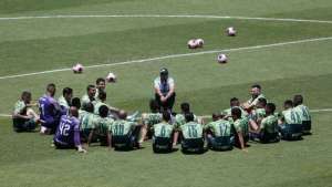 Palmeiras receberá laboratório da Fifa para certificar gramado sintético