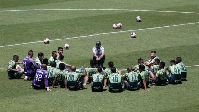 Palmeiras receberá laboratório da Fifa para certificar gramado sintético