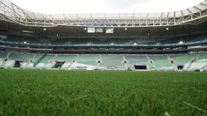 Palmeiras marca treino e vai estrear no gramado sintético semana que vem