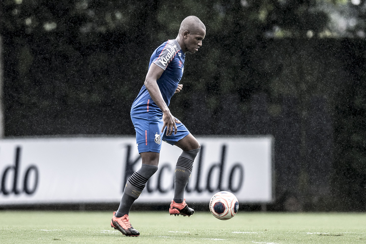 Paulistão: Renyer aposta em conversas com Jesualdo por espaço e adaptação ao Santos