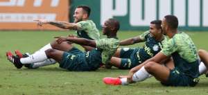 Para mostrar novo gramado, Palmeiras pode fazer treino aberto ao público na arena