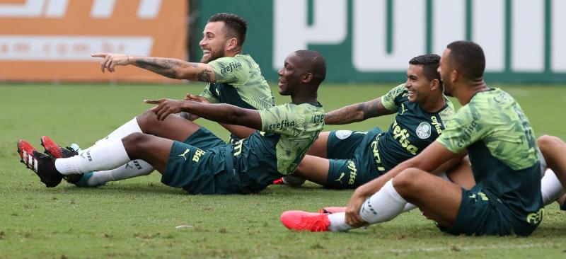 Para mostrar novo gramado, Palmeiras pode fazer treino aberto ao público na arena